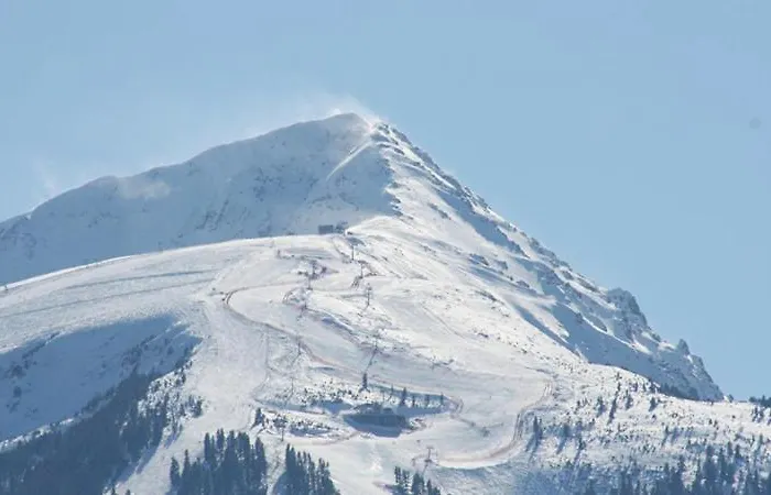 Apartment Family Vyani