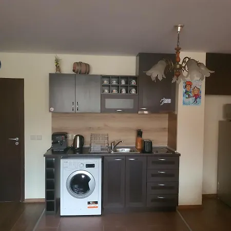 Family Vyani Apartment